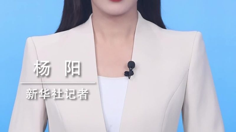 企业搜索安全配置：揭秘十大品牌背后的技术秘密